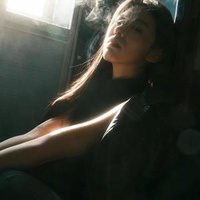 星闻追踪犬